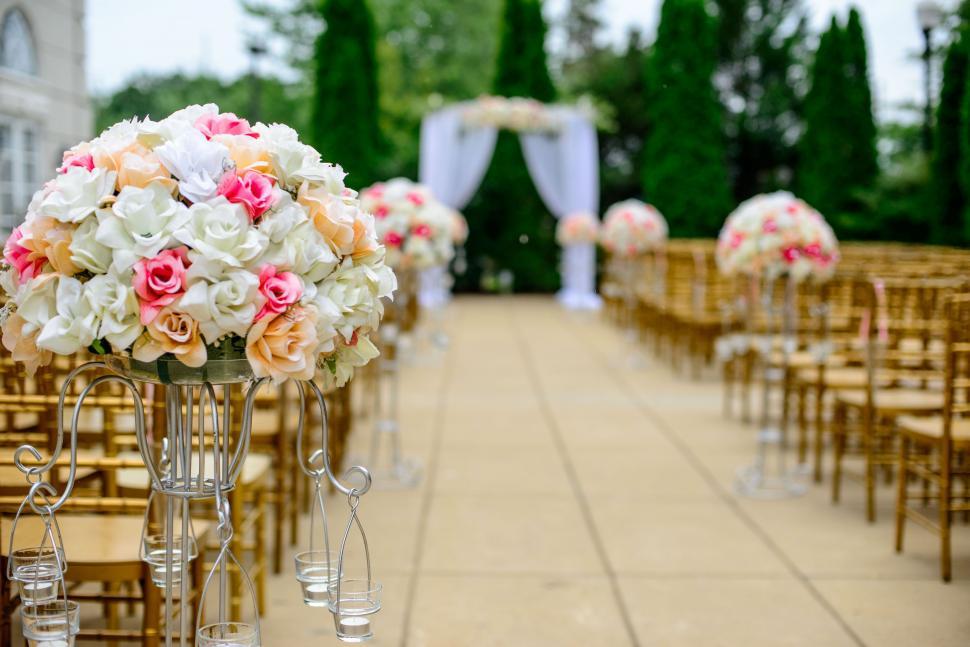 Free Image of Row of Chairs With Flowers 
