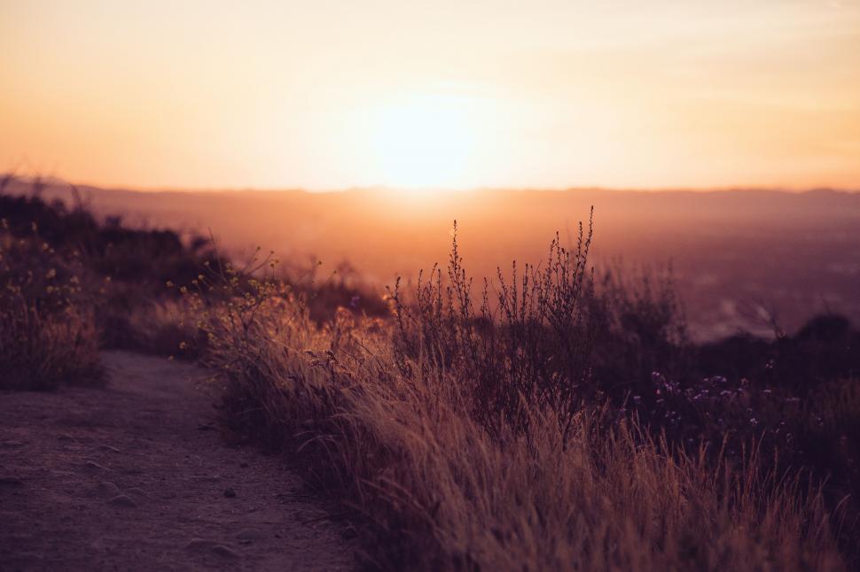 Free Image of Sun Setting Over Mountains With Tall Grass 