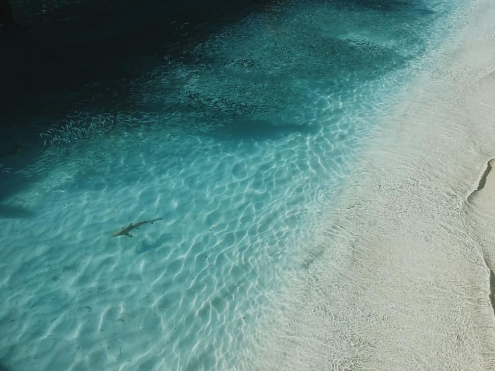 Free Image of Aerial View of Sandy Beach and Water 