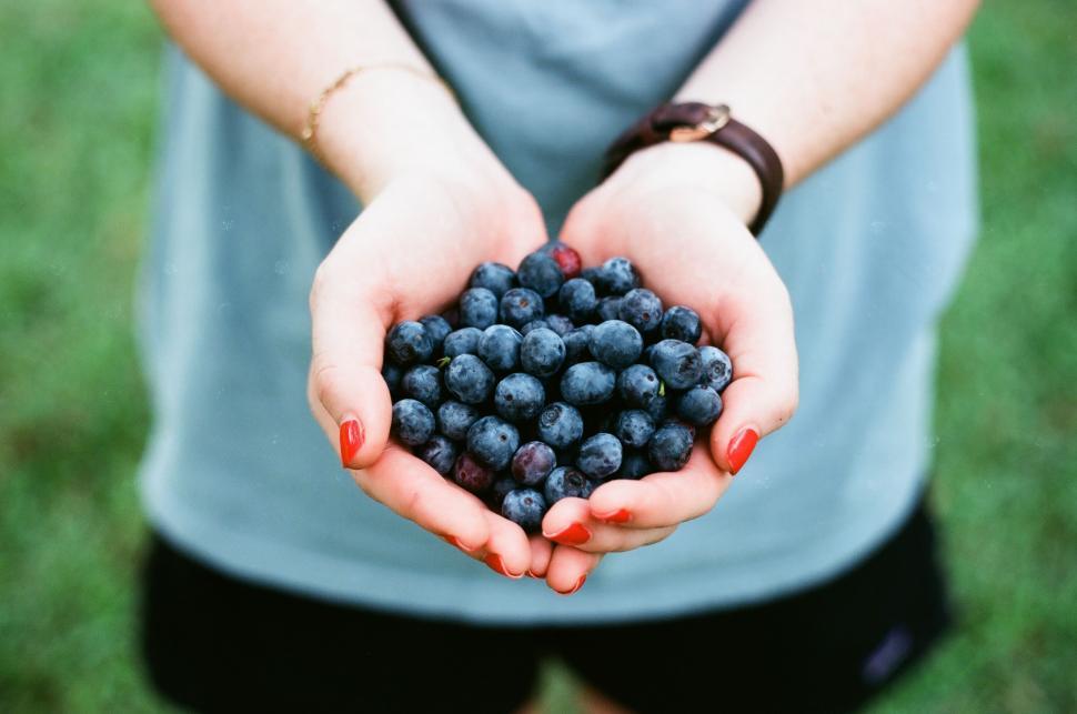Free Image of Person Holding Handful of Blueberries 