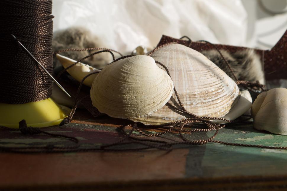 Free Image of Diverse Items Displayed on Tabletop 
