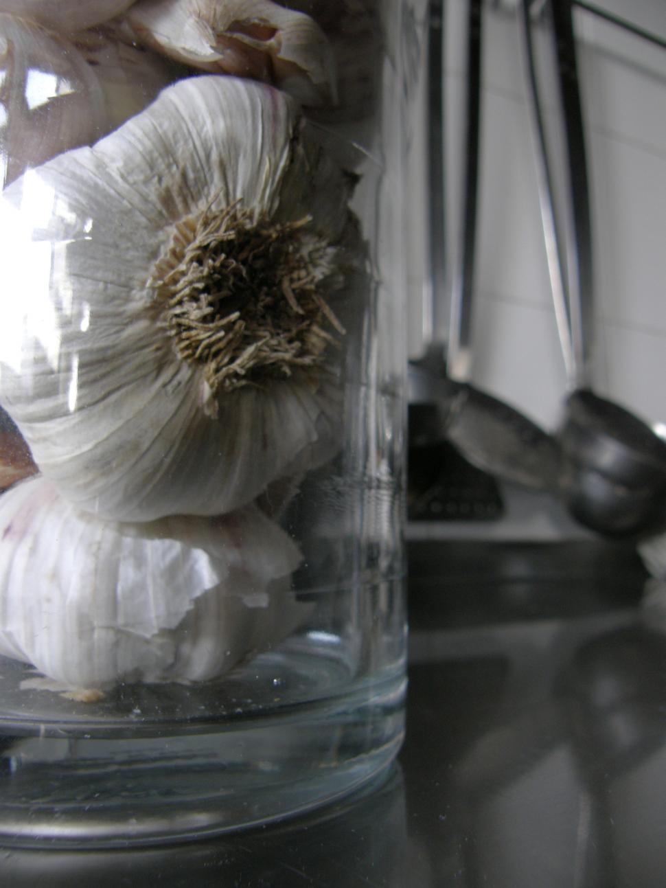 Free Image of Garlic 