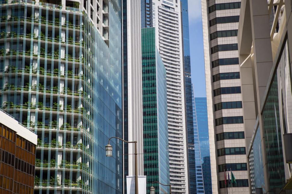 Free Image of City Street Packed With Tall Buildings 