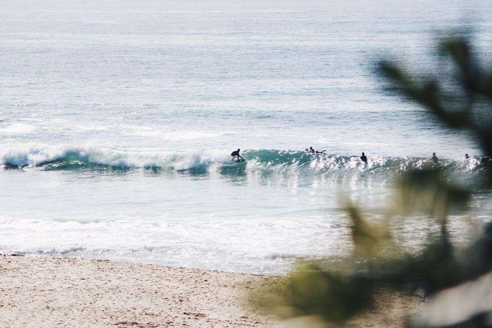 Free Image of Group of People Riding Surfboards on Top of a Wave 