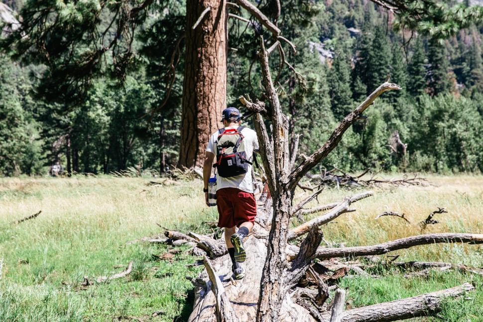 Free Image of Man Standing on Top of Fallen Tree 