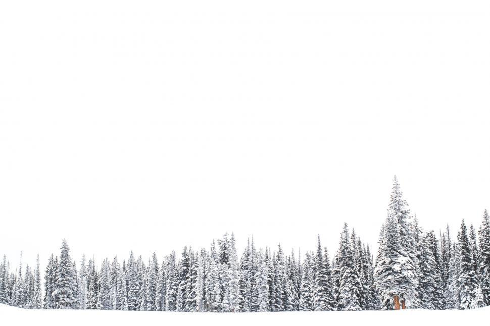 Free Image of Person Snowboarding in Snow 