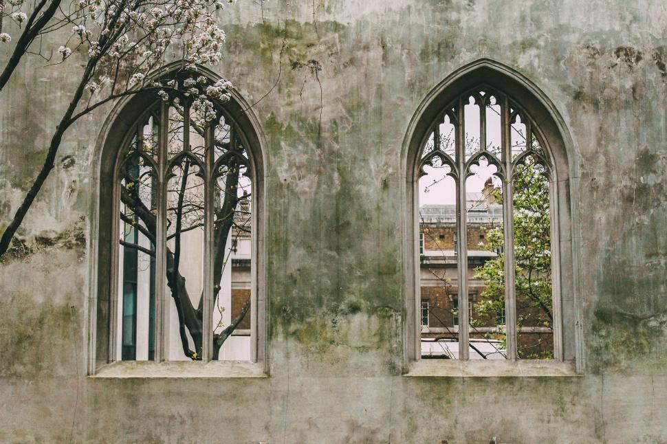 Free Image of Old Building With Two Windows and Tree 
