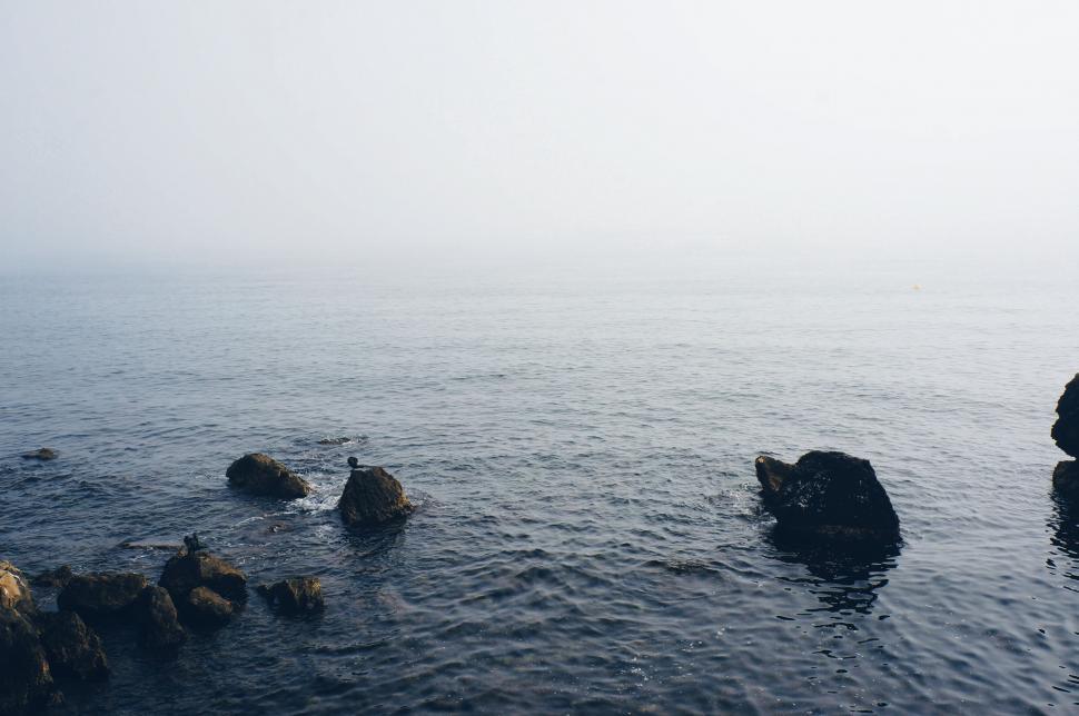 Free Image of A Body of Water in Black and White 