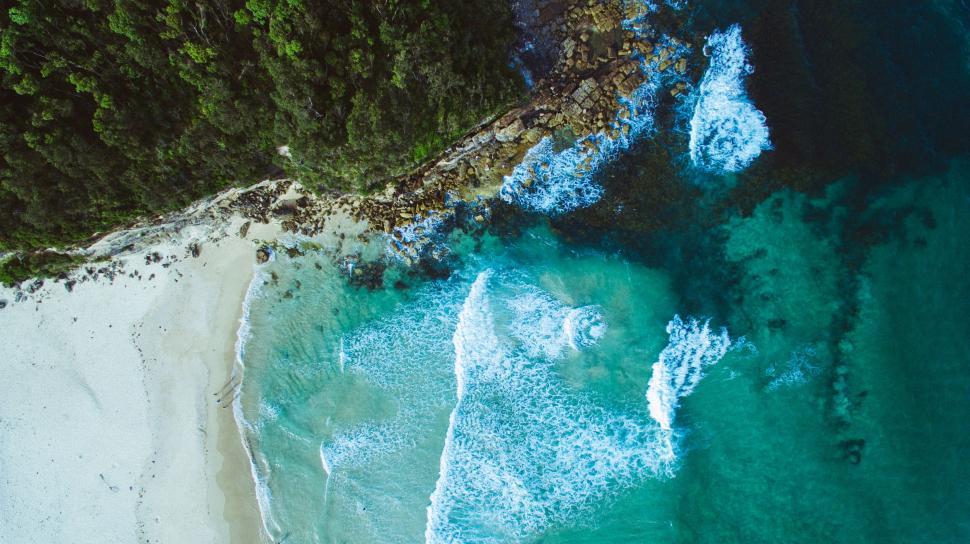 Free Image of Aerial View of a Beach and Trees 