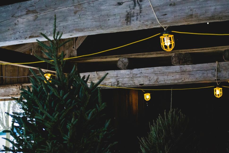Free Image of Cluster of Lights Hanging From Ceiling in Building 
