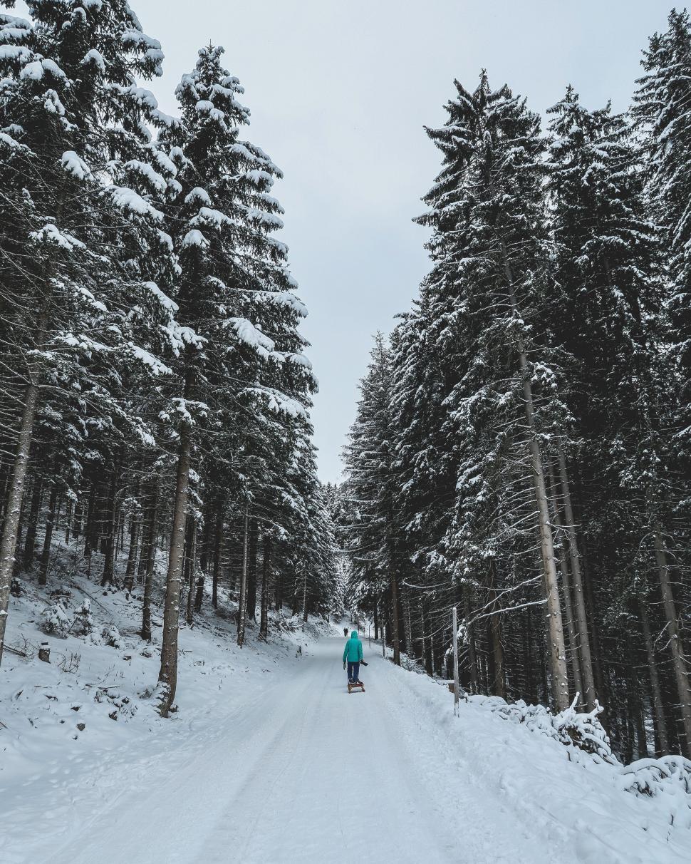 Free Image of Person Snowboarding Down Snowy Road 