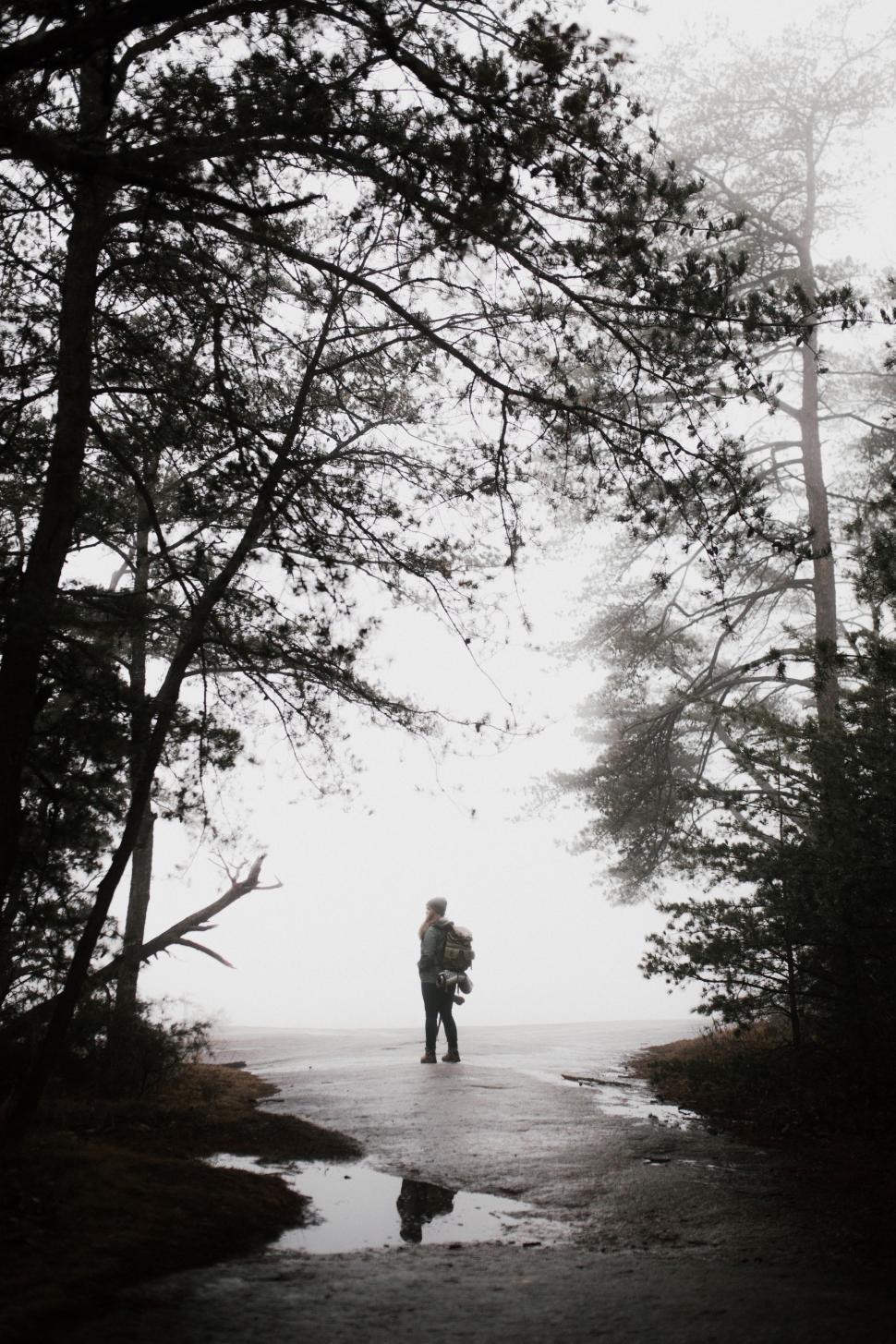 Free Image of Person Standing in the Middle of a Forest 