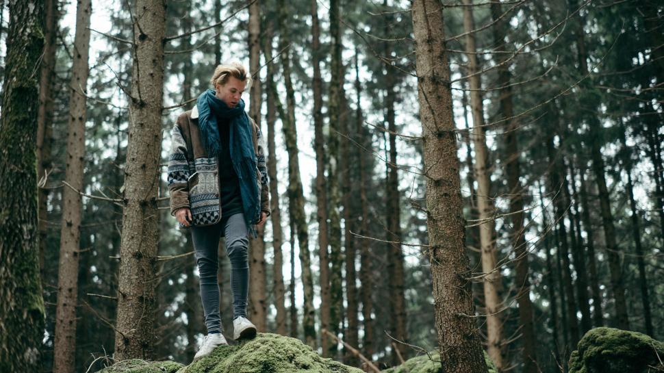 Free Image of Man Standing on Rock in Forest 