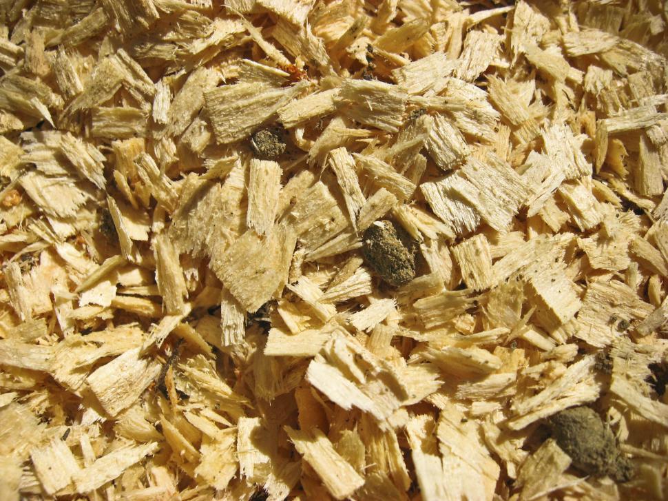 wood-chips.jpg