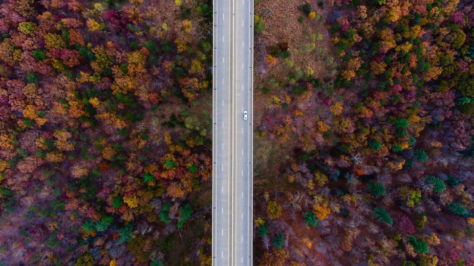 Free Image of Aerial View of Road Surrounded by Trees 
