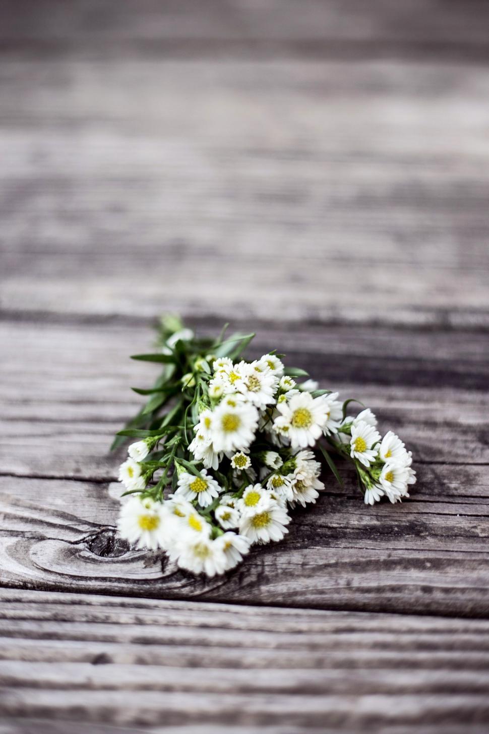 Free Image of A Bunch of Daisies on a Wooden Surface 