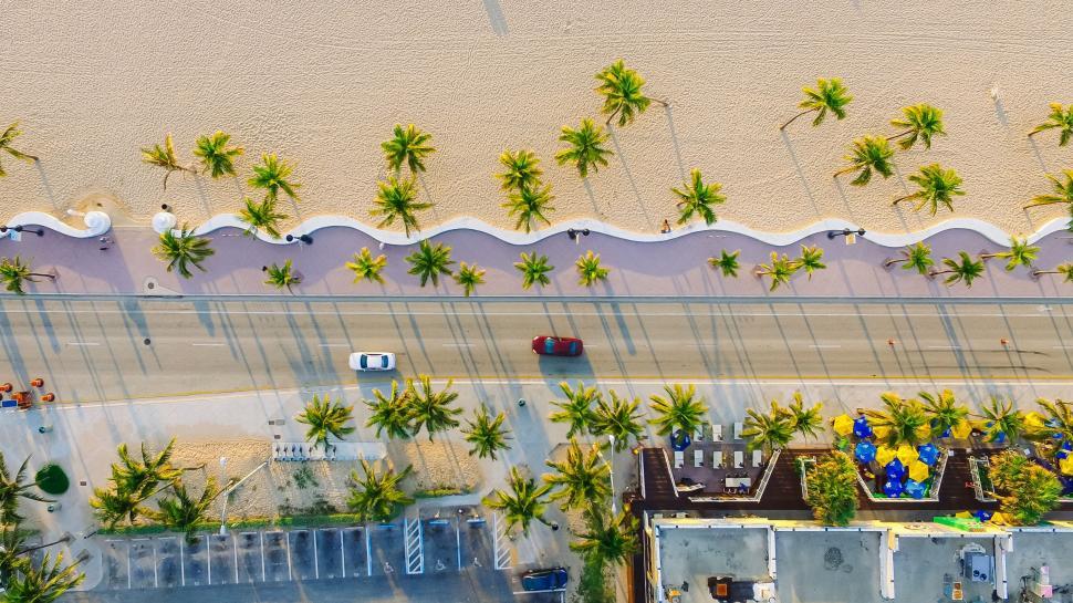 Free Image of Aerial View of a Beach With Palm Trees 