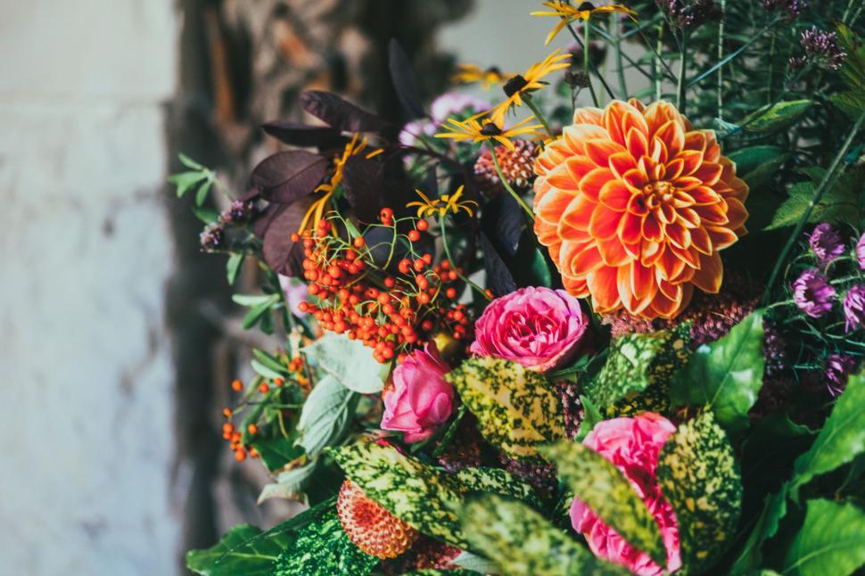 Free Image of Close Up of a Bouquet of Flowers 
