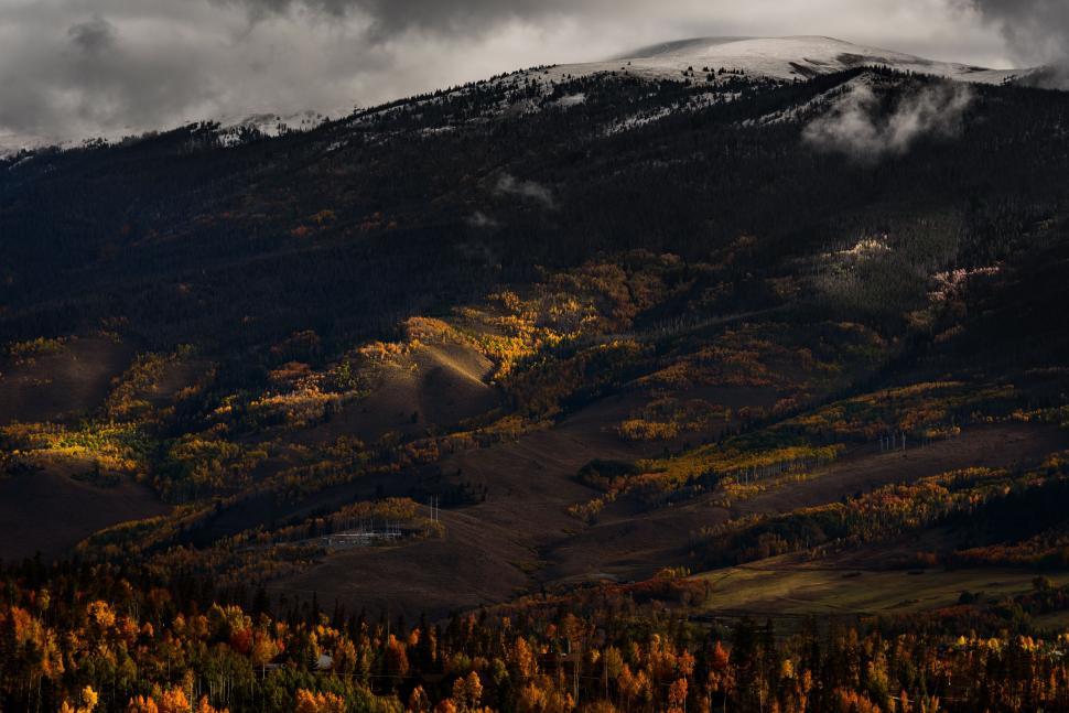 Free Stock Photo of Snow Covered Mountain With Trees in Foreground ...