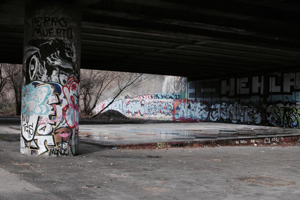 Free Image of Person Skateboarding Under Bridge 