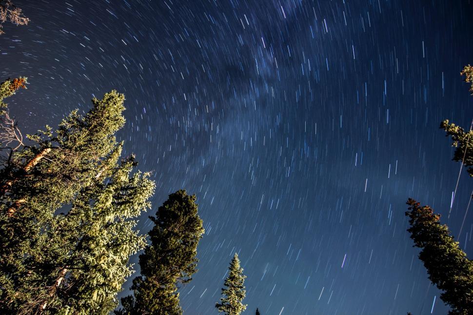 Free Image of Starry Night Sky With Trees 