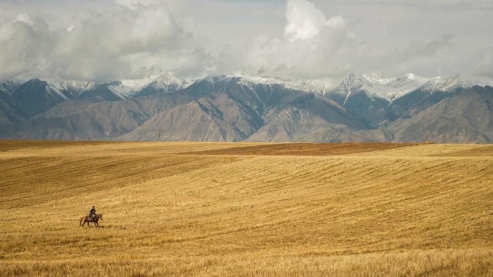 Free Image of Man Riding Horse Across Dry Grass Field 