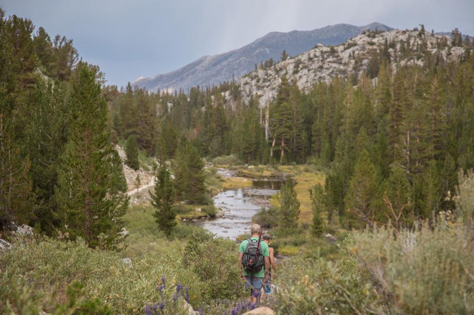 Free Image of Man Walking Through Forest With Backpack 