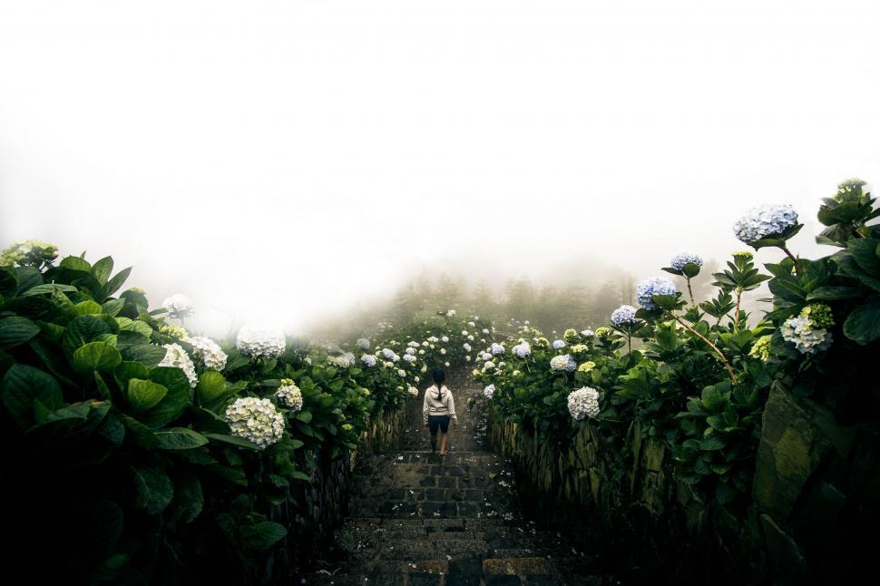 Free Image of Person Walking Down a Path in a Field 