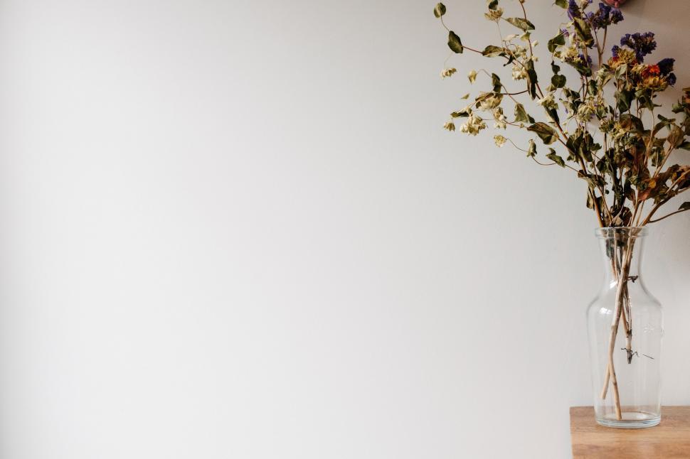 Free Image of Vase With Dried Flowers on a Shelf 