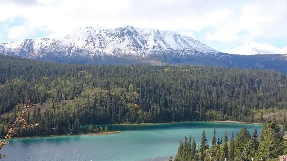 Free Image of Lake Surrounded by Trees and Snow Covered Mountains 
