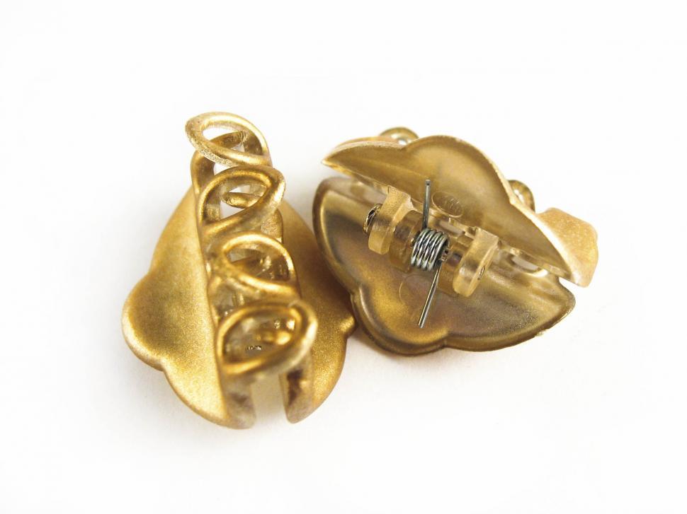 Free Image of Hair clips 
