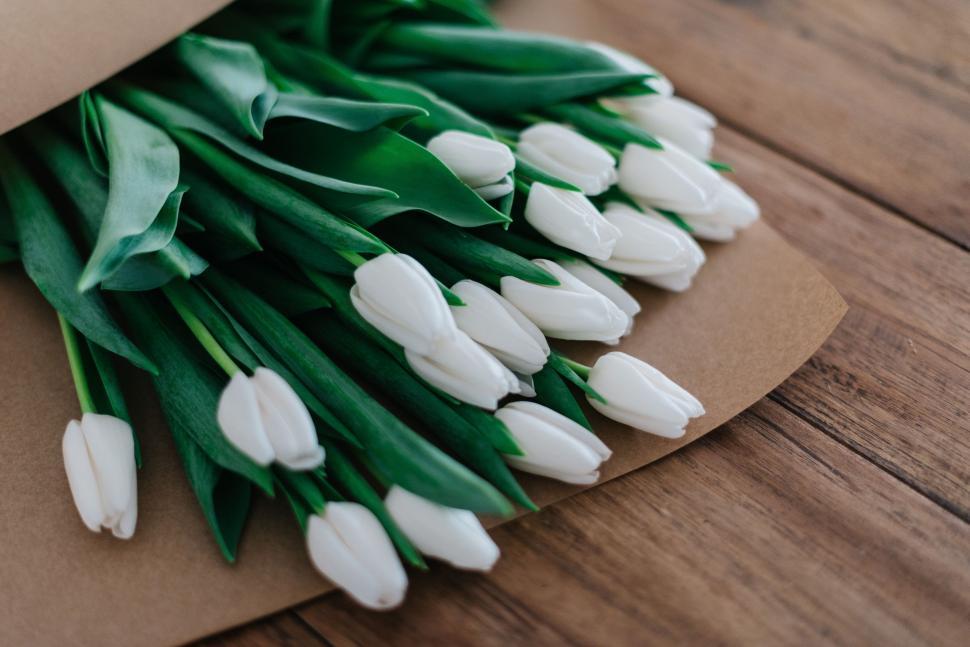 Free Image of White Flowers on Top of Paper 