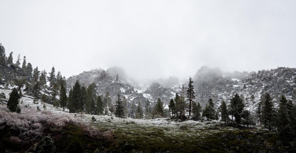 Free Image of Majestic Mountains and Trees 