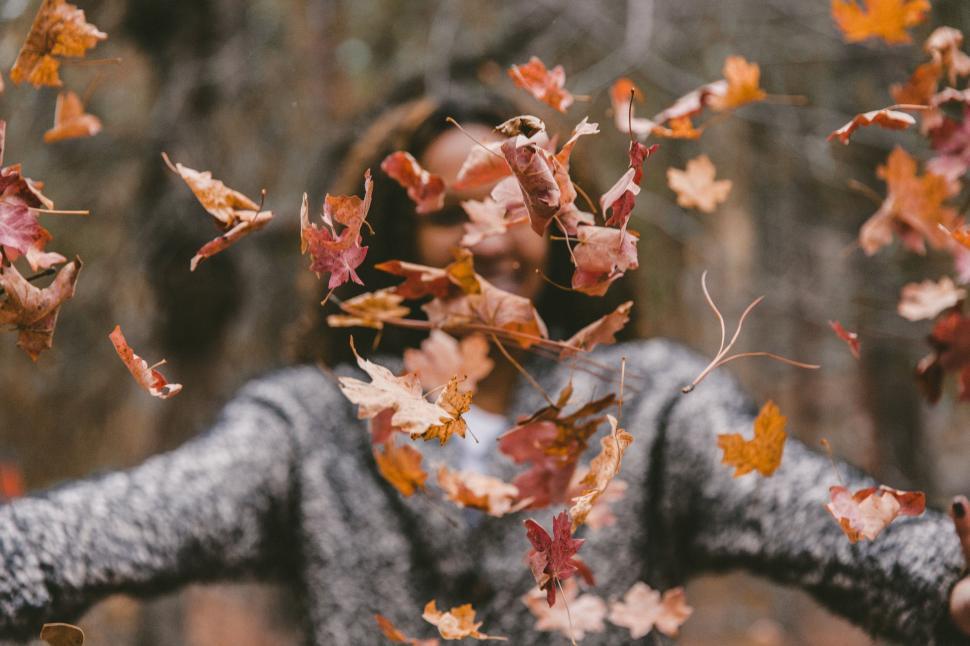 Free Image of Woman Standing in Forest Covered in Leaves 
