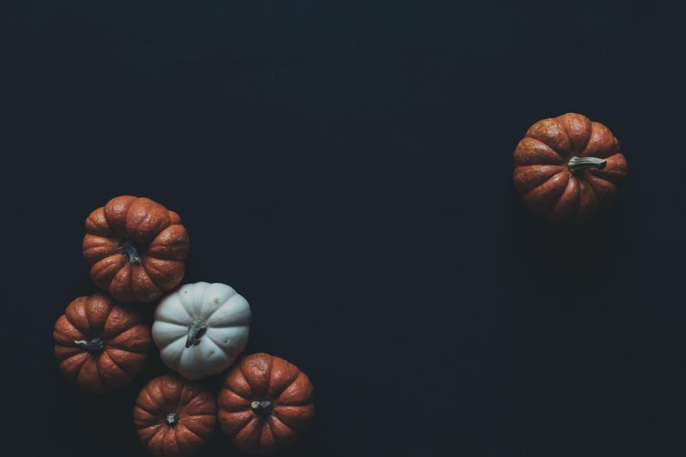 Free Image of Group of Pumpkins on Table 