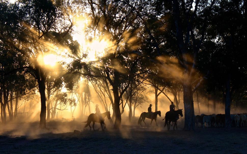 Free Image of Group of People Riding Horses Through a Forest 