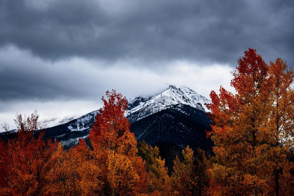 Free Image of Snow-Capped Mountain Peak 
