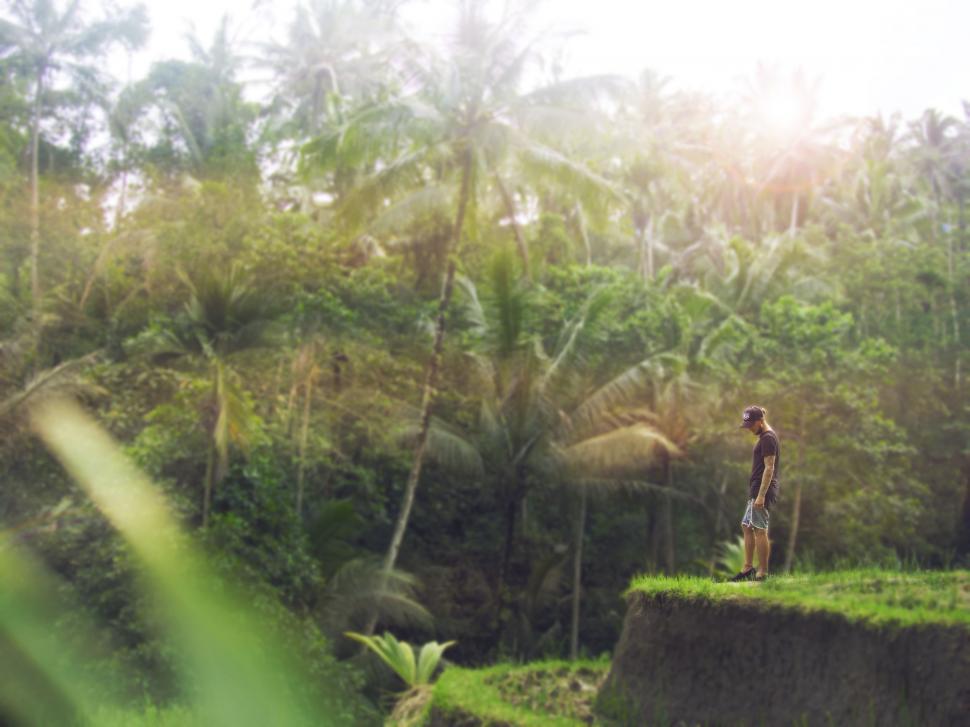 Free Image of Man Standing on Top of Lush Green Hillside 