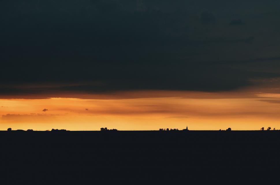 Free Image of Group of Animals Standing on Top of a Grass Covered Field 