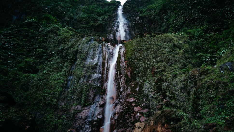 Free Image of Majestic Waterfall in Dense Forest 