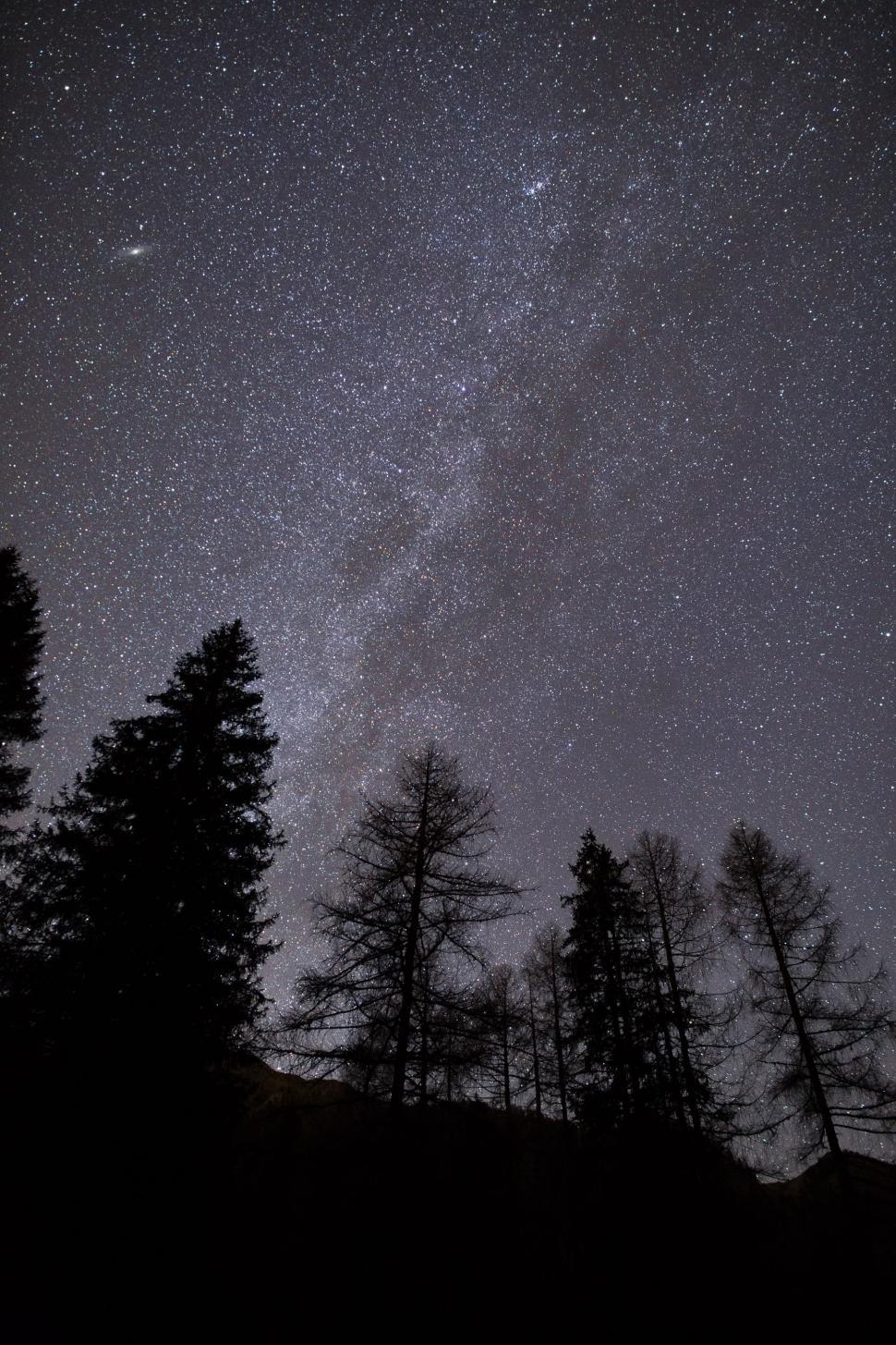 Free Image of Starry Night Sky With Trees 