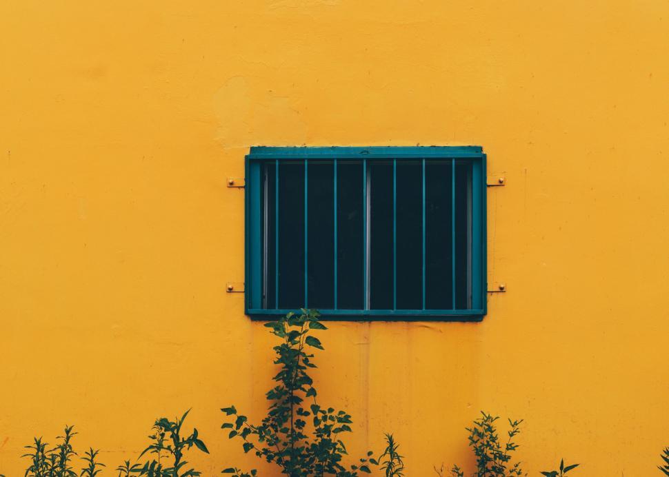 Free Image of Yellow Building With Blue Window and Plant in Front 