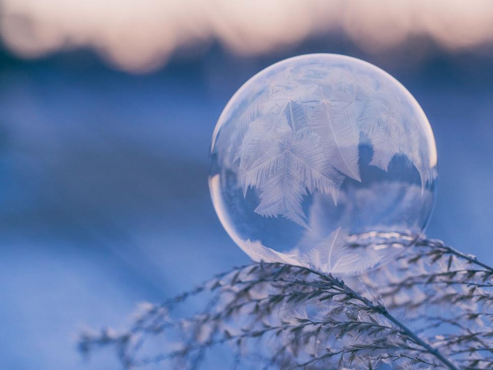 Free Image of Snow Globe Atop Plant 