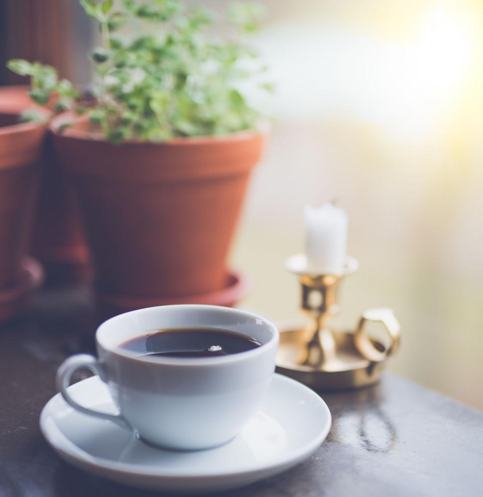 Free Image of A Cup of Coffee on a Saucer 