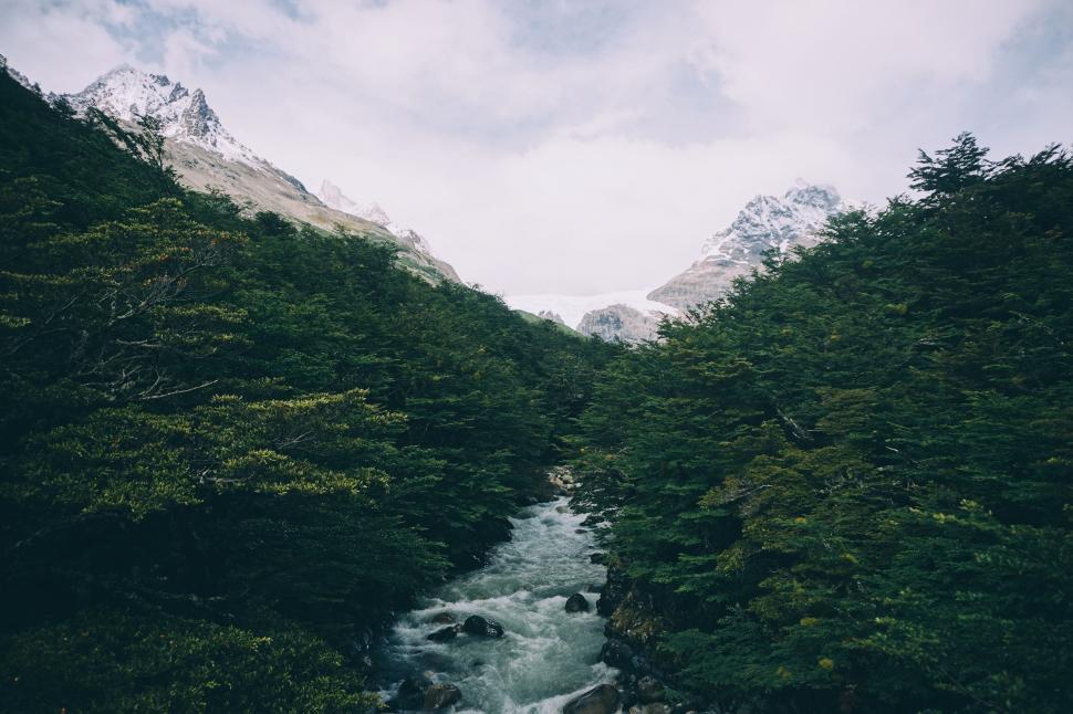 Free Image of River Flowing Through Lush Green Forest 