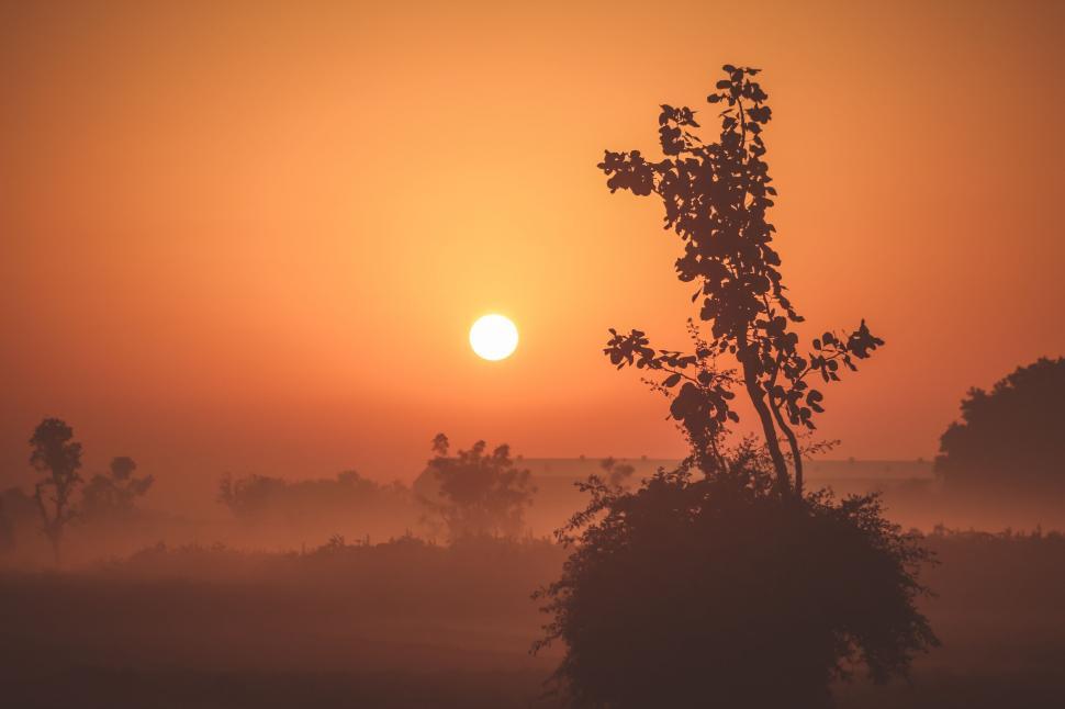 Free Image of Sun Setting Over Foggy Field 