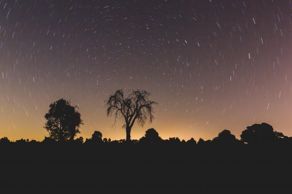 Free Image of Starry Night Sky With Trees 