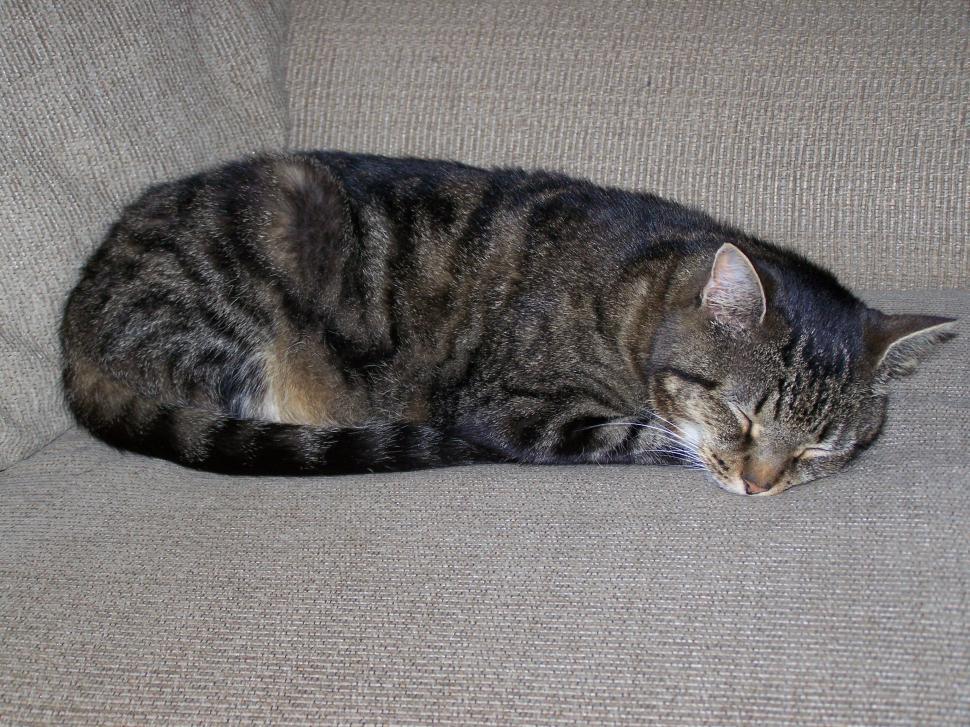 Free Image of Rest 