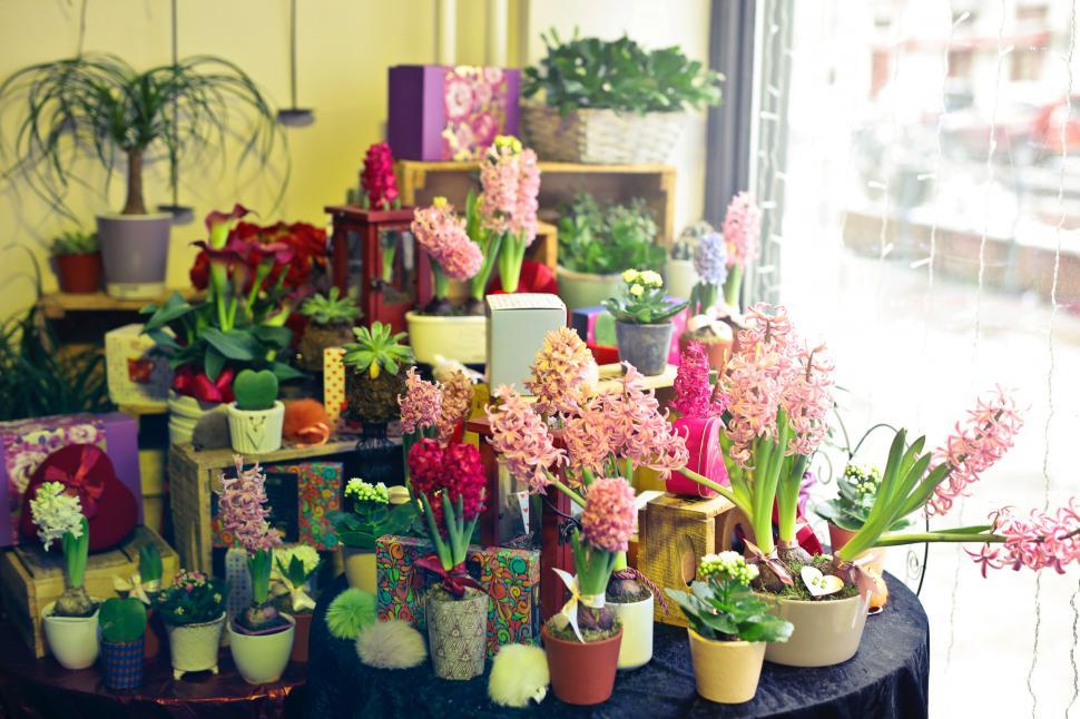 a-flower-shop-display-section-with-variety-of-flowers-and-plants.jpg
