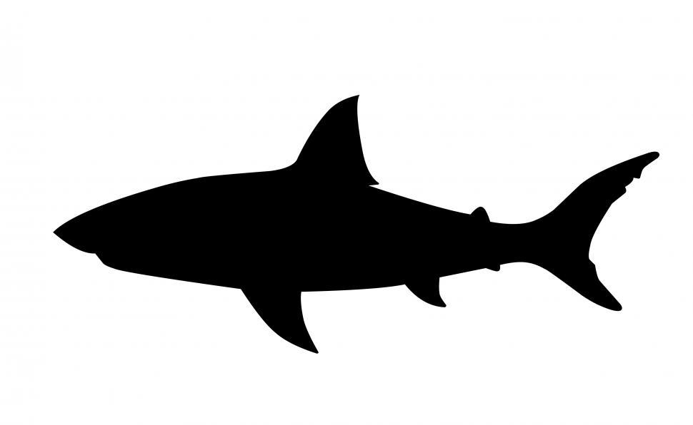 Free Stock Photo of shark Silhouette | Download Free Images and Free ...